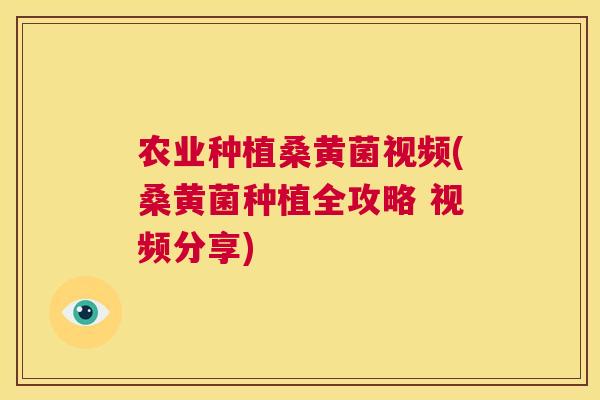 农业种植桑黄菌视频(桑黄菌种植全攻略 视频分享) 农业种植桑黄菌视频(桑黄菌种植全攻略 视频分享)