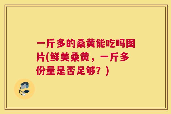 一斤多的桑黄能吃吗图片(鲜美桑黄,一斤多份量是否足够?) 一斤多的桑黄能吃吗图片(鲜美桑黄,一斤多份量是否足够?)