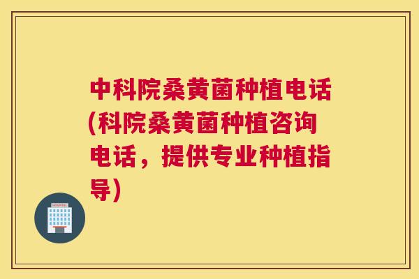 中科院桑黄菌种植电话(科院桑黄菌种植咨询电话,提供专业种植指导) 中科院桑黄菌种植电话(科院桑黄菌种植咨询电话,提供专业种植指导)