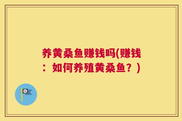 养黄桑鱼赚钱吗(赚钱：如何养殖黄桑鱼？)