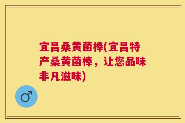 宜昌桑黄菌棒(宜昌特产桑黄菌棒,让您品味非凡滋味) 宜昌桑黄菌棒(宜昌特产桑黄菌棒,让您品味非凡滋味)