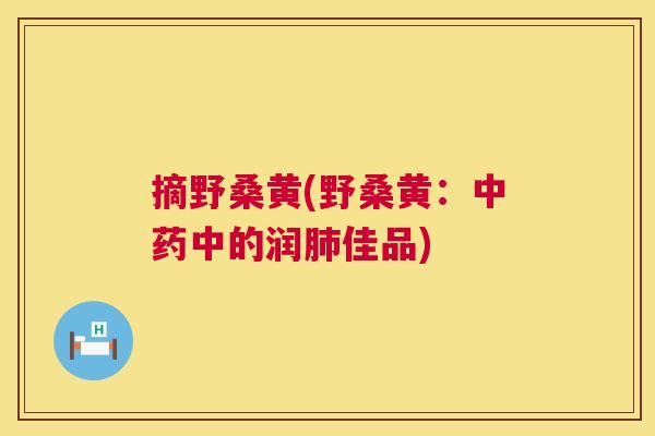 摘野桑黄(野桑黄:中的润佳品) 摘野桑黄(野桑黄:中的润佳品)