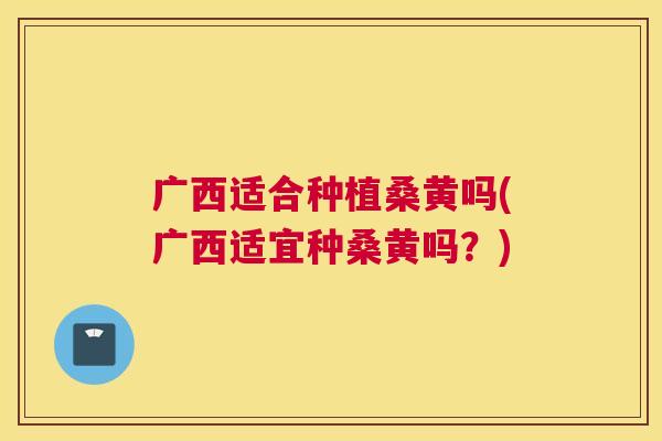 广西适合种植桑黄吗(广西适宜种桑黄吗?) 广西适合种植桑黄吗(广西适宜种桑黄吗?)