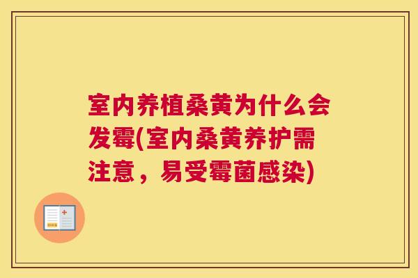 室内养植桑黄为什么会发霉(室内桑黄养护需注意,易受霉菌) 室内养植桑黄为什么会发霉(室内桑黄养护需注意,易受霉菌)