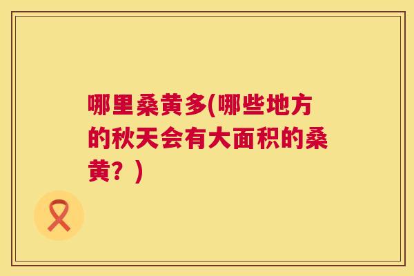 哪里桑黄多(哪些地方的秋天会有大面积的桑黄?) 哪里桑黄多(哪些地方的秋天会有大面积的桑黄?)