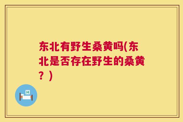 东北有野生桑黄吗(东北是否存在野生的桑黄?) 东北有野生桑黄吗(东北是否存在野生的桑黄?)