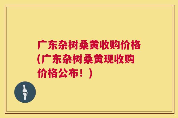广东杂树桑黄收购价格(广东杂树桑黄现收购价格公布!) 广东杂树桑黄收购价格(广东杂树桑黄现收购价格公布!)