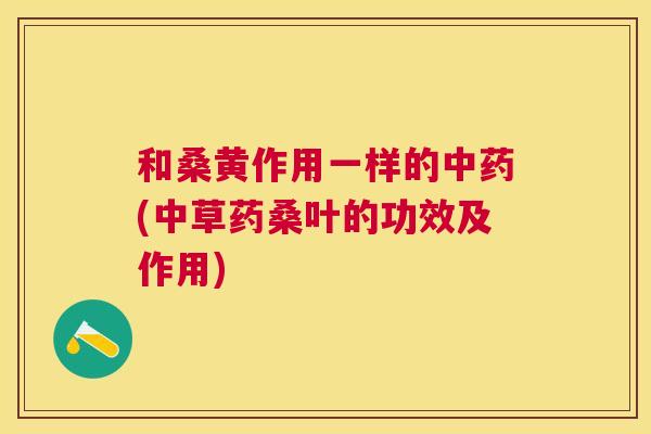和桑黄作用一样的(中草药桑叶的功效及作用) 和桑黄作用一样的(中草药桑叶的功效及作用)