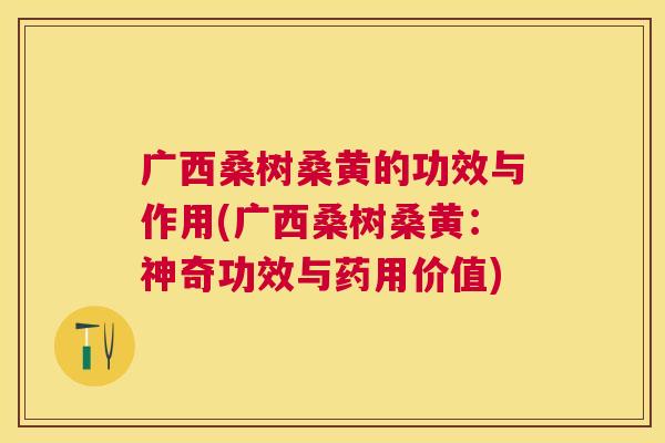 广西桑树桑黄的功效与作用(广西桑树桑黄：神奇功效与药用价值)