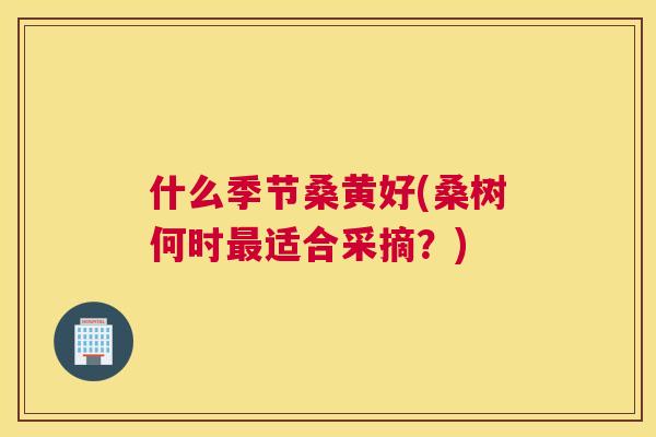 什么季节桑黄好(桑树何时适合采摘?) 什么季节桑黄好(桑树何时适合采摘?)