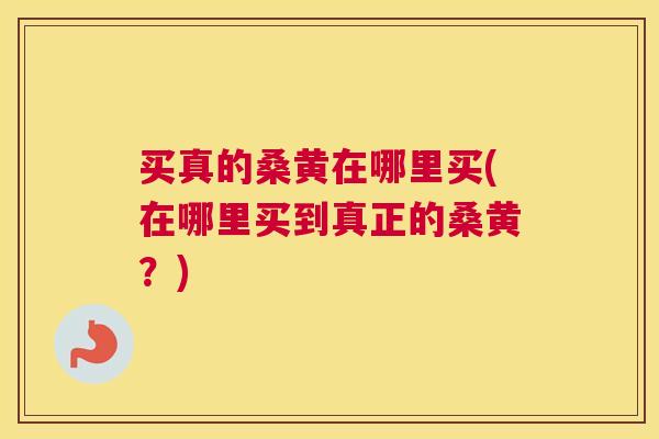 买真的桑黄在哪里买(在哪里买到真正的桑黄?) 买真的桑黄在哪里买(在哪里买到真正的桑黄?)