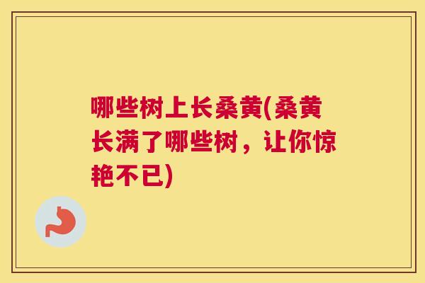 哪些树上长桑黄(桑黄长满了哪些树，让你惊艳不已)