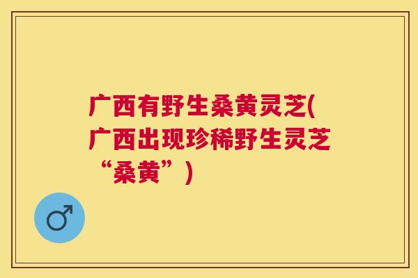广西有野生桑黄灵芝(广西出现珍稀野生灵芝“桑黄”) 广西有野生桑黄灵芝(广西出现珍稀野生灵芝“桑黄”)