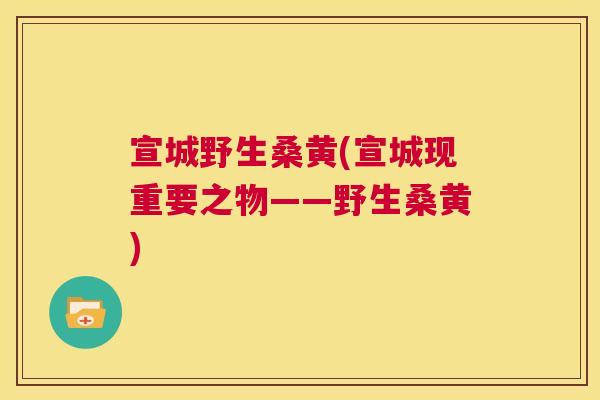 宣城野生桑黄(宣城现重要之物——野生桑黄) 宣城野生桑黄(宣城现重要之物——野生桑黄)