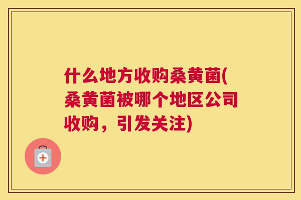 什么地方收购桑黄菌(桑黄菌被哪个地区公司收购,引发关注) 什么地方收购桑黄菌(桑黄菌被哪个地区公司收购,引发关注)