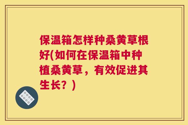 保温箱怎样种桑黄草根好(如何在保温箱中种植桑黄草,有效促进其生长?) 保温箱怎样种桑黄草根好(如何在保温箱中种植桑黄草,有效促进其生长?)