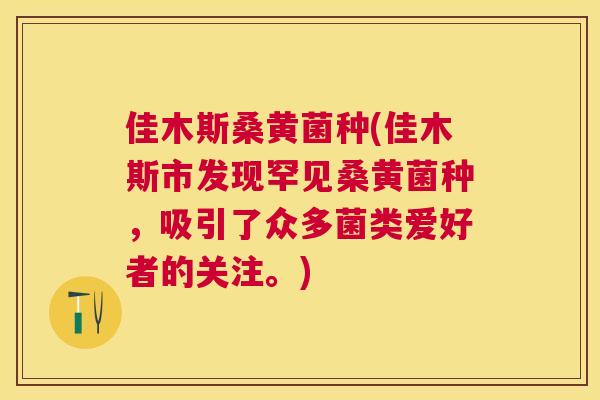 佳木斯桑黄菌种(佳木斯市发现罕见桑黄菌种,吸引了众多菌类爱好者的关注。) 佳木斯桑黄菌种(佳木斯市发现罕见桑黄菌种,吸引了众多菌类爱好者的关注。)