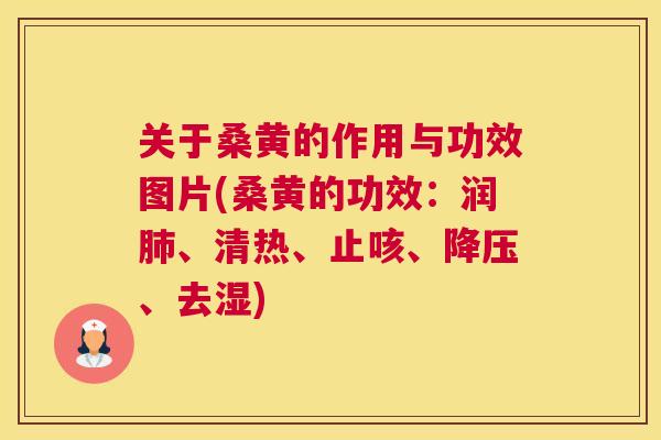 关于桑黄的作用与功效图片(桑黄的功效:润、清热、止咳、、去湿) 关于桑黄的作用与功效图片(桑黄的功效:润、清热、止咳、、去湿)