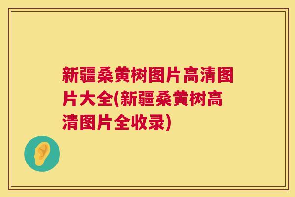新疆桑黄树图片高清图片大全(新疆桑黄树高清图片全收录) 新疆桑黄树图片高清图片大全(新疆桑黄树高清图片全收录)