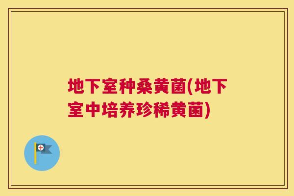 地下室种桑黄菌(地下室中培养珍稀黄菌) 地下室种桑黄菌(地下室中培养珍稀黄菌)