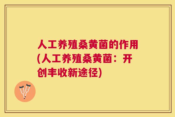 人工养殖桑黄菌的作用(人工养殖桑黄菌:开创丰收新途径) 人工养殖桑黄菌的作用(人工养殖桑黄菌:开创丰收新途径)