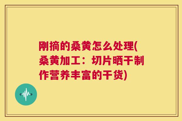 刚摘的桑黄怎么处理(桑黄加工:切片晒干制作营养丰富的干货) 刚摘的桑黄怎么处理(桑黄加工:切片晒干制作营养丰富的干货)