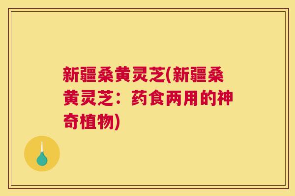 新疆桑黄灵芝(新疆桑黄灵芝:药食两用的神奇植物) 新疆桑黄灵芝(新疆桑黄灵芝:药食两用的神奇植物)