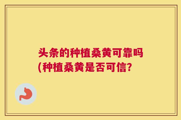 头条的种植桑黄可靠吗(种植桑黄是否可信? 头条的种植桑黄可靠吗(种植桑黄是否可信?