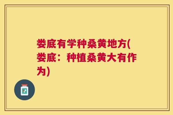 娄底有学种桑黄地方(娄底:种植桑黄大有作为) 娄底有学种桑黄地方(娄底:种植桑黄大有作为)