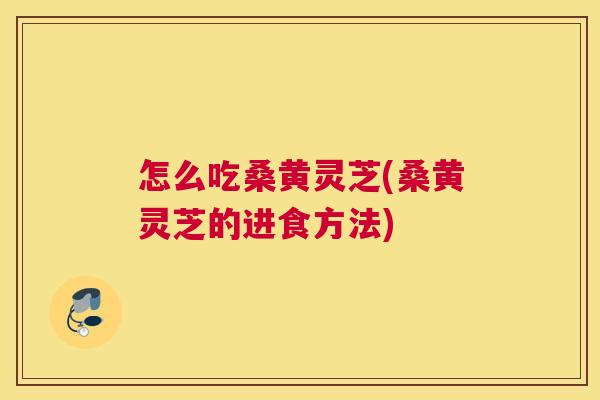 怎么吃桑黄灵芝(桑黄灵芝的进食方法) 怎么吃桑黄灵芝(桑黄灵芝的进食方法)