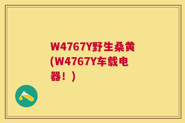 W4767Y野生桑黄(W4767Y车载电器！)