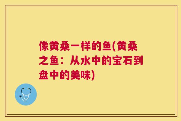 像黄桑一样的鱼(黄桑之鱼:从水中的宝石到盘中的美味) 像黄桑一样的鱼(黄桑之鱼:从水中的宝石到盘中的美味)