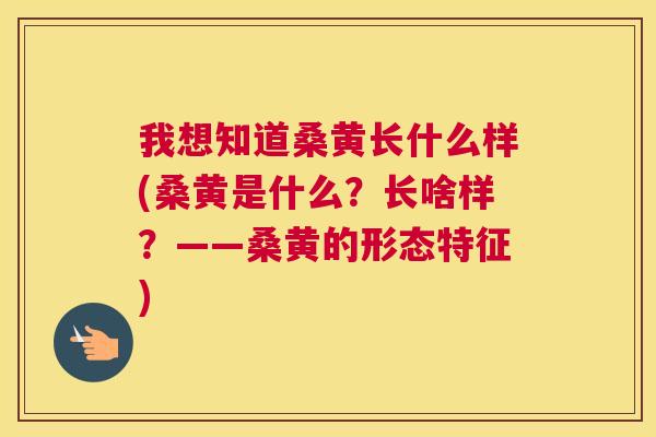 我想知道桑黄长什么样(桑黄是什么?长啥样?——桑黄的形态特征) 我想知道桑黄长什么样(桑黄是什么?长啥样?——桑黄的形态特征)