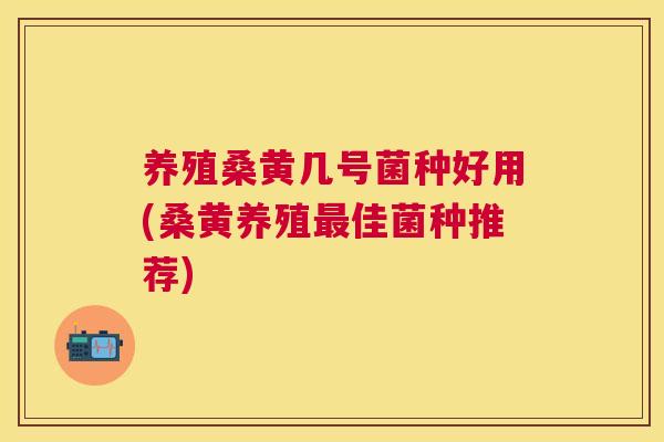 养殖桑黄几号菌种好用(桑黄养殖佳菌种推荐) 养殖桑黄几号菌种好用(桑黄养殖佳菌种推荐)