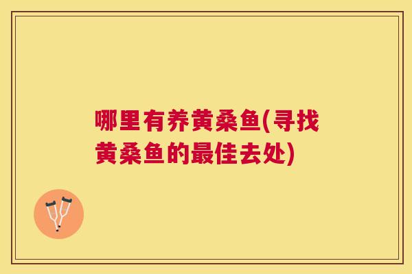 哪里有养黄桑鱼(寻找黄桑鱼的佳去处) 哪里有养黄桑鱼(寻找黄桑鱼的佳去处)