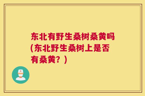 东北有野生桑树桑黄吗(东北野生桑树上是否有桑黄?) 东北有野生桑树桑黄吗(东北野生桑树上是否有桑黄?)