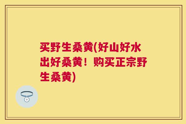 买野生桑黄(好山好水出好桑黄!购买正宗野生桑黄) 买野生桑黄(好山好水出好桑黄!购买正宗野生桑黄)