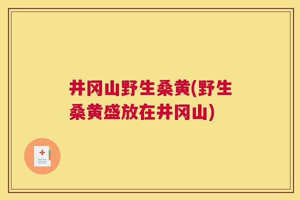 井冈山野生桑黄(野生桑黄盛放在井冈山) 井冈山野生桑黄(野生桑黄盛放在井冈山)