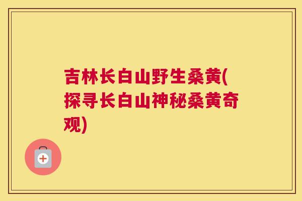 吉林长白山野生桑黄(探寻长白山神秘桑黄奇观) 吉林长白山野生桑黄(探寻长白山神秘桑黄奇观)