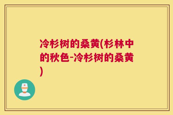 冷杉树的桑黄(杉林中的秋色-冷杉树的桑黄) 冷杉树的桑黄(杉林中的秋色-冷杉树的桑黄)