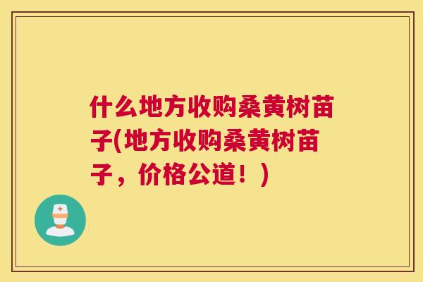 什么地方收购桑黄树苗子(地方收购桑黄树苗子,价格公道!) 什么地方收购桑黄树苗子(地方收购桑黄树苗子,价格公道!)