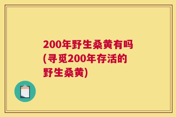 200年野生桑黄有吗(寻觅200年存活的野生桑黄) 200年野生桑黄有吗(寻觅200年存活的野生桑黄)