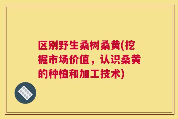 区别野生桑树桑黄(挖掘市场价值,认识桑黄的种植和加工技术) 区别野生桑树桑黄(挖掘市场价值,认识桑黄的种植和加工技术)