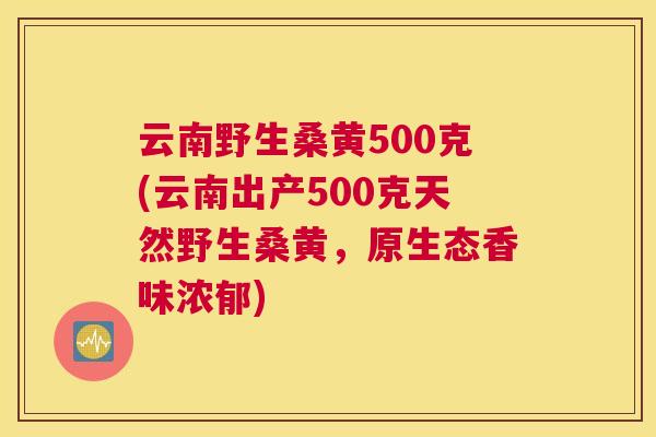 云南野生桑黄500克(云南出产500克天然野生桑黄,原生态香味浓郁) 云南野生桑黄500克(云南出产500克天然野生桑黄,原生态香味浓郁)
