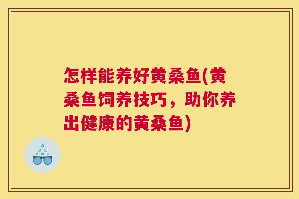 怎样能养好黄桑鱼(黄桑鱼饲养技巧,助你养出健康的黄桑鱼) 怎样能养好黄桑鱼(黄桑鱼饲养技巧,助你养出健康的黄桑鱼)