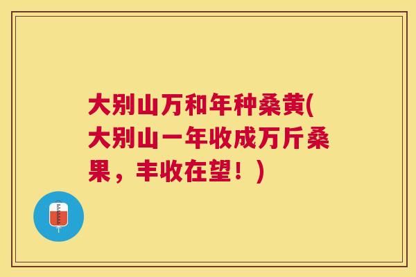 大别山万和年种桑黄(大别山一年收成万斤桑果,丰收在望!) 大别山万和年种桑黄(大别山一年收成万斤桑果,丰收在望!)