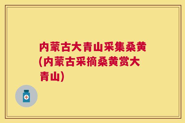 内蒙古大青山采集桑黄(内蒙古采摘桑黄赏大青山) 内蒙古大青山采集桑黄(内蒙古采摘桑黄赏大青山)