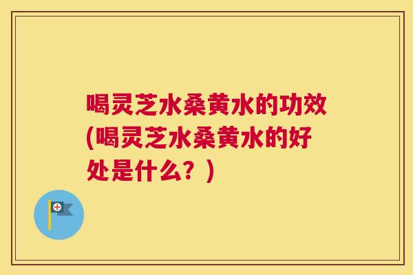 喝灵芝水桑黄水的功效(喝灵芝水桑黄水的好处是什么?) 喝灵芝水桑黄水的功效(喝灵芝水桑黄水的好处是什么?)