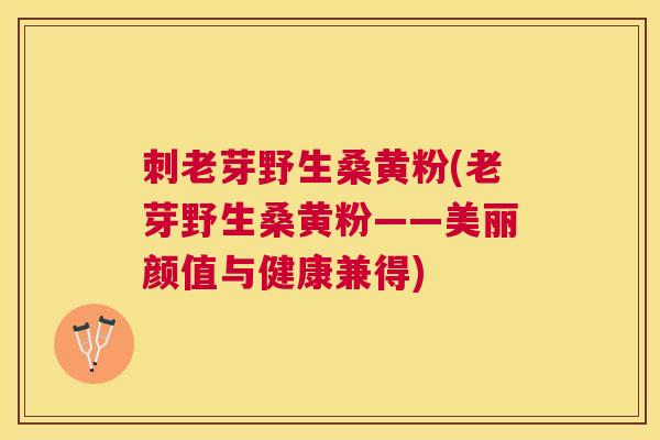 刺老芽野生桑黄粉(老芽野生桑黄粉——美丽颜值与健康兼得) 刺老芽野生桑黄粉(老芽野生桑黄粉——美丽颜值与健康兼得)