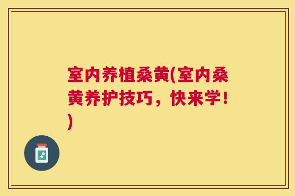 室内养植桑黄(室内桑黄养护技巧,快来学!) 室内养植桑黄(室内桑黄养护技巧,快来学!)